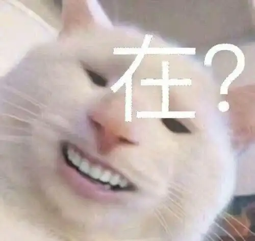 有哪些跟沙雕的头像和壁纸或者小玩意儿
