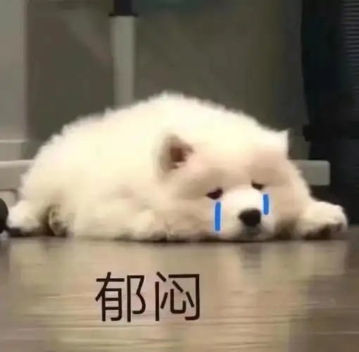 狗狗拆蛋后的变化真的很大,可别小瞧了
