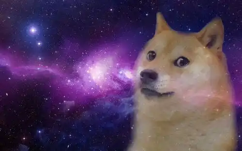 爆火全球的表情包doge原型去世,从险些被安乐死,到狗界网红顶流的传奇柴犬
