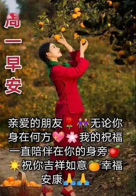 微信群发早安问候祝福语录录大全周一早上好祝福图片带字表情动态
