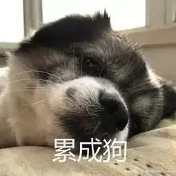 这8个经常用到的俚语,你要错过吗

