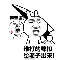 太搞笑网友ps各战队下路组合
