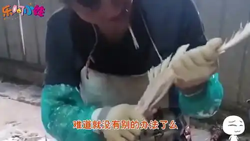 爆笑单身久了,看到猪都会脸红
