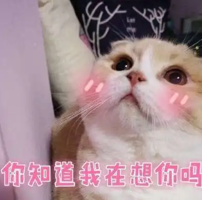幽默笑话,准备带同事们一起去吃饭
