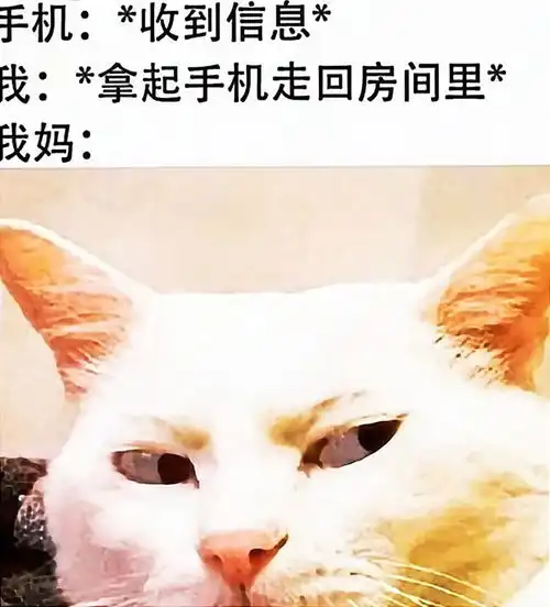 搞笑趣图当我提到同一个女生的名字两次,我妈
