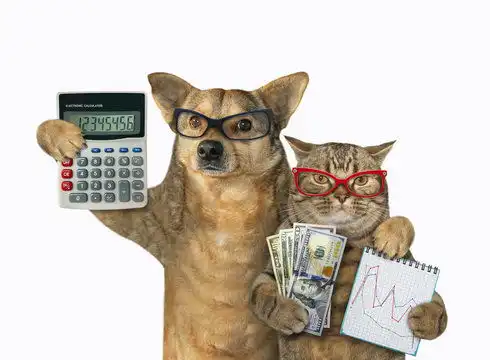点击来源直接获取大图文件这只猫拿着一个带有财务图表和一叠美元的笔记本狗拿着一个会计计算器它们相拥而立白色背景孤立的摄影搞笑狗狗高清大图
