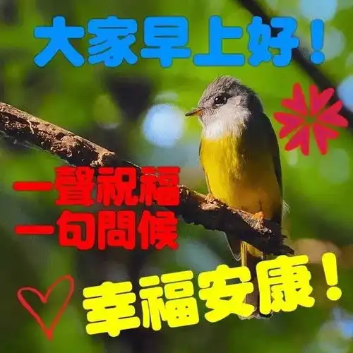 早上好的问候语短语早上好的祝福温馨
