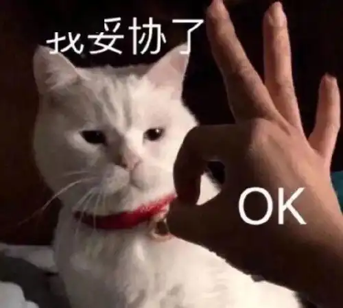 适合发朋友圈的搞笑沙雕句子,你还怕没有文案吗
