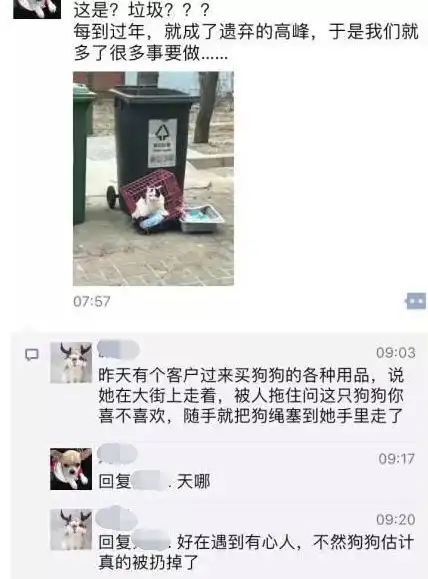 回家过年,不是你弃养宠物的借口
