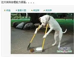 7趣味相册

