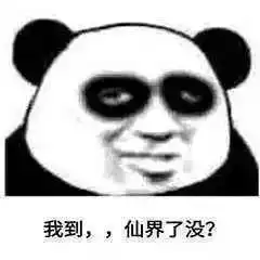 拯救失眠狗,拒绝黑眼圈熬夜患者必备的干货集锦云享换弹能量棒
