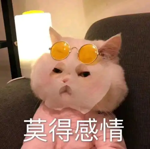 宝藏个性搞怪头像我的择偶标准就三个字求你了
