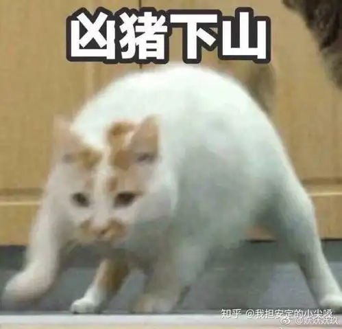 看到相亲对象的瞬间心里拔凉拔凉是一种什么样的体验
