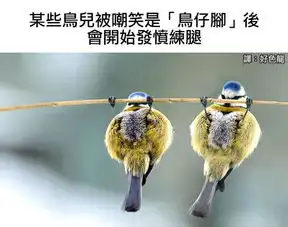 惊人的动物冷知识我的天哪有这么神奇吗

