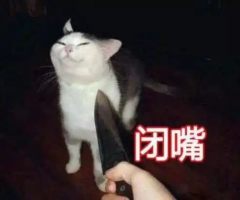 春节期间,猫咪突然生病了怎么办
