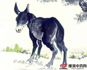 黑毛驴拉动的百亿元产业链每头驴都有身份证
