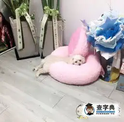 得了一种叫懒癌的病搞笑图片
