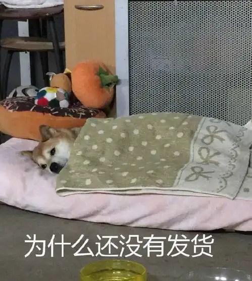 表情包图片熬夜冠军卡,让我睡一晚,这是我用熊猫眼换来的
