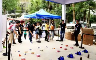 法系车的浪漫遇上极地海洋公园的梦幻会迸发出怎样的缤纷色彩
