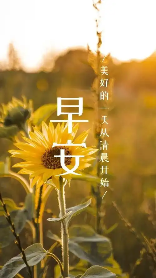 朋友圈最火的暖心励志句子,正能量短句,穿透心灵,人人点赞网易订阅
