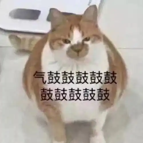 今日份杂七杂八表情包