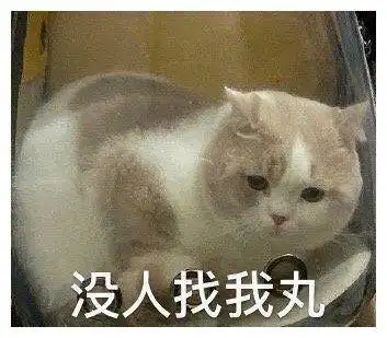 搞笑gif我这墨宝,能拍个高价吧
