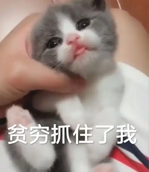 搞颜色表情包妹妹,我有话跟你说
