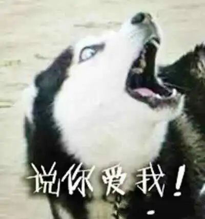 笨二哈让乡下奶奶照顾两个月后,主人奶奶,我服了
