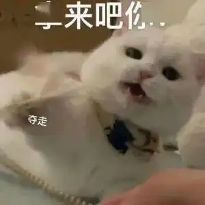 商之潮干货小卖部开业啦
