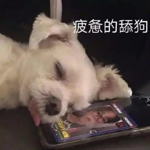 表情包梦里的人怎么都看不清长相
