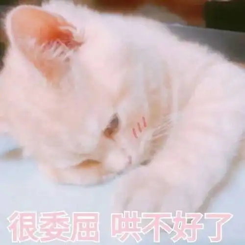 脸上全是螨虫,护肤达人教我一招,不伤皮肤,螨虫统统死光光东西
