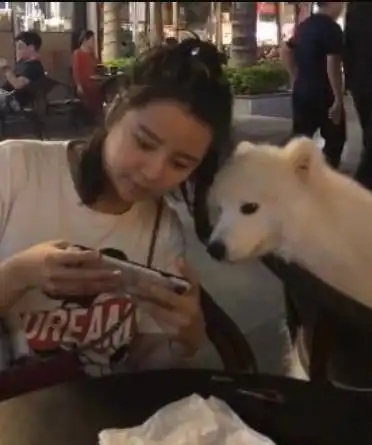 搞笑动物趣图,妈别梳了,都把我梳成林永健了
