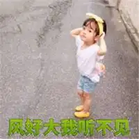 表示风大的图片今天风太大了搞笑图片微信头像图片大全
