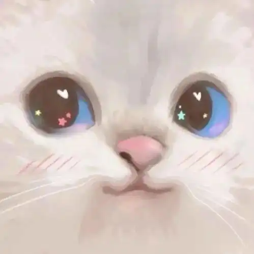 当发情的公猫遇到另一只公猫,场面失控了
