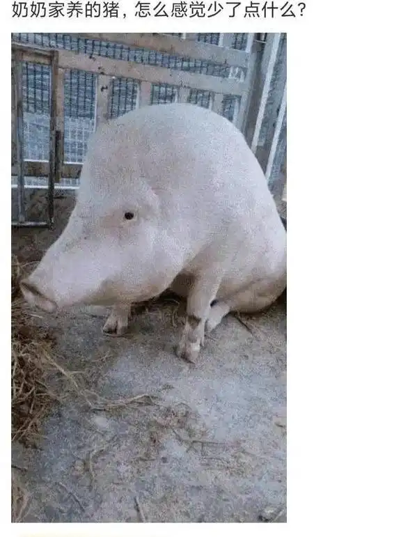 姑娘,以后别起床就自拍,秘密都被大家知道了哈哈哈太尴尬了
