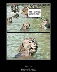 笑话段子搞笑图片算命先生你别跑,我保证不打死你
