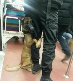 搞笑图片我知道女人是热的