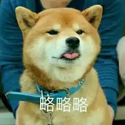 发表情表情包大全微信表情包qq表情包fabiaoqing.com
