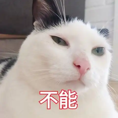 宝妈最应该学的保险知识,都在蜗牛保险的保妈报告里
