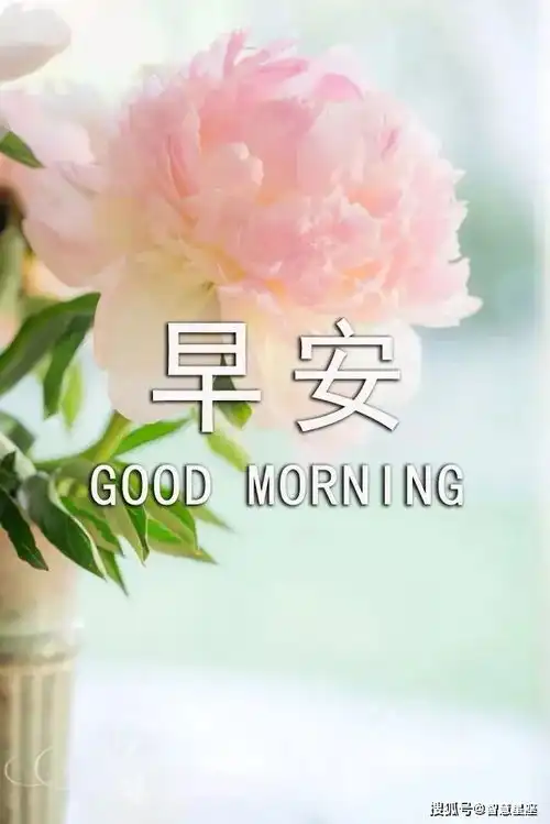 4月27日星期二微信早上好问候语带字带鲜花最新版早上好动态表情图