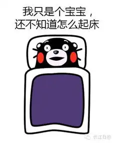 湖北小伙最冷天南极游泳天气太好冰山太美
