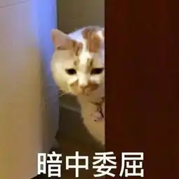 天哪现在的00后都用什么化妆品...贫穷限制了你的想象力
