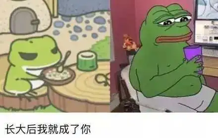 佛系游戏青蛙旅行爆火旅行照片的背景更有趣