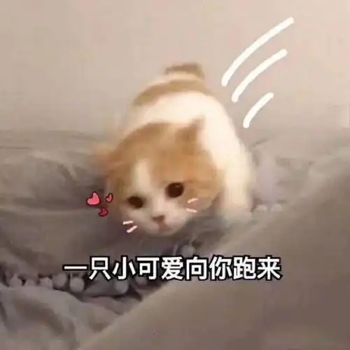 有推荐描写大西北的书或影视作品吗
