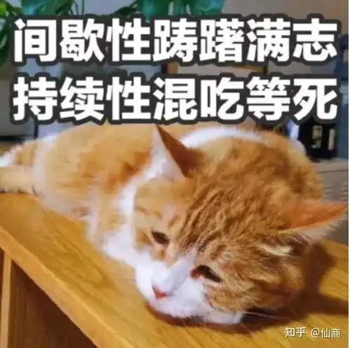 20字以内的搞笑神回复,十字博红颜一笑
