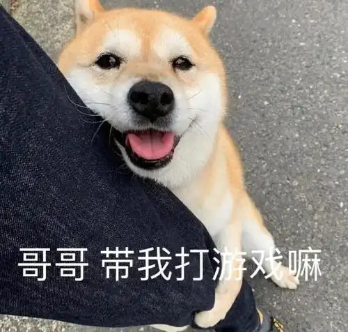 聊天表情包你让我觉得认真喜欢一个人也就这样