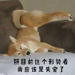 分享一波新的柴柴表情包,马起来发给沙雕朋友
