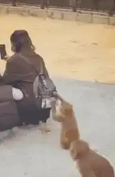 搞笑图片集北方人的冷,南方人是体会不到的,哈哈哈哈哈....
