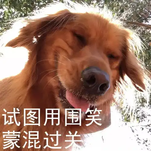 这年头连狗子都比我会演戏你被这些戏精狗骗过嘛
