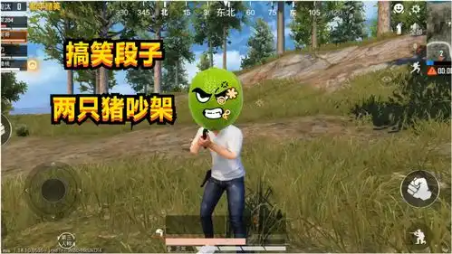 和平精英甩窝现场两只猪吵架爆笑吃鸡日常
